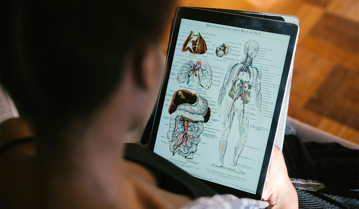 Science Tutoring Punchbowl