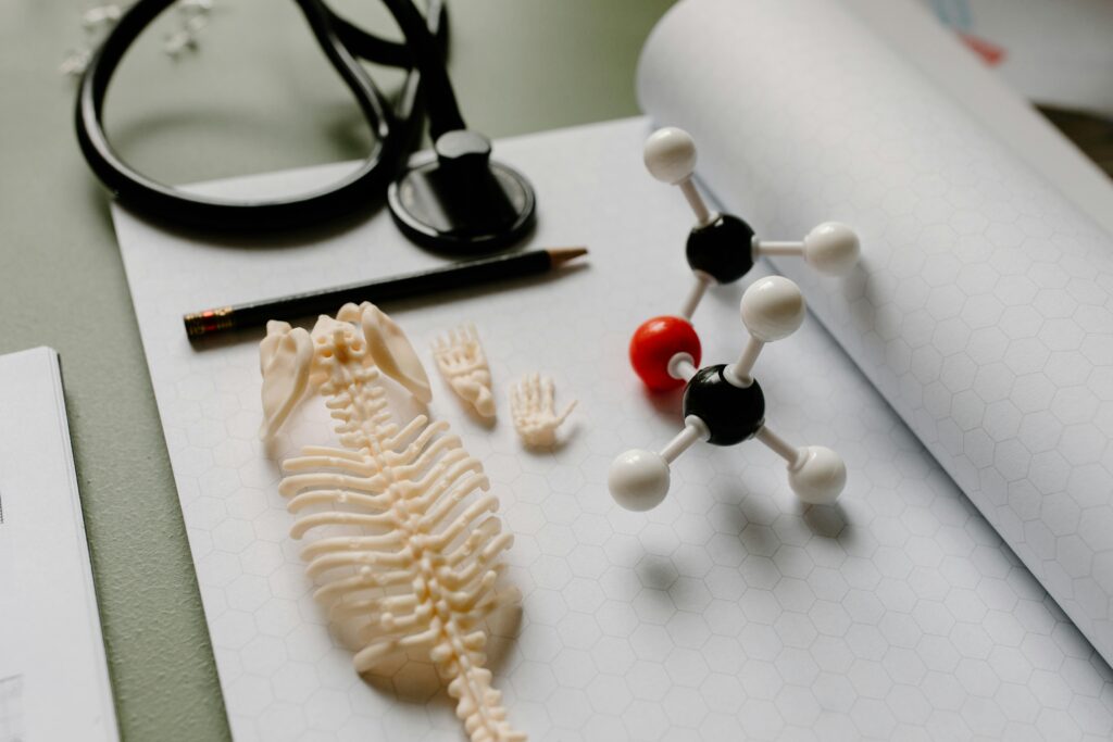 HSC Biology Tutoring Sydney