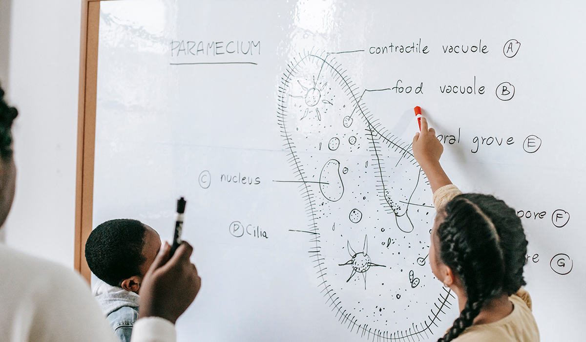 Science Tutoring Punchbowl